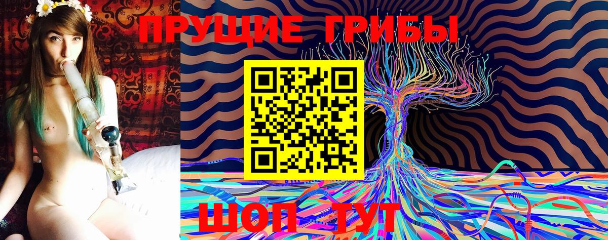Псилоцибиновые грибы MAGIC MUSHROOMS Холмск