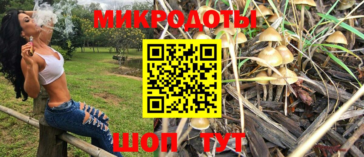 Псилоцибиновые грибы мухоморы  Псилоцибиновые грибы GOLDEN TEACHER  Вход с VPN  Холмск 